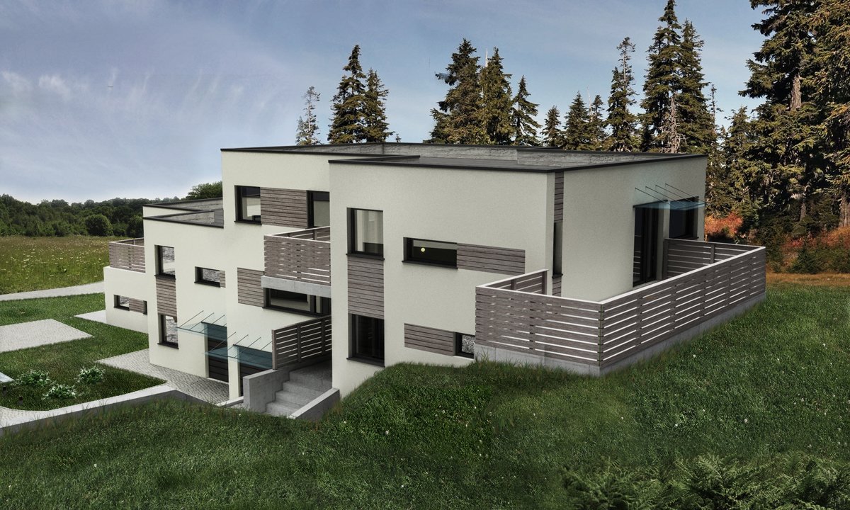 dom w norwegii design